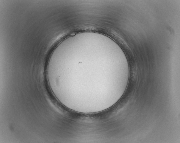 X0000115310538200911231331