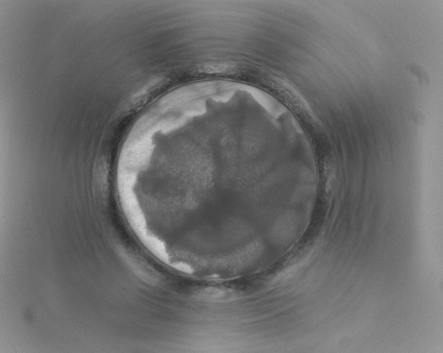 X0000115310542200911231331