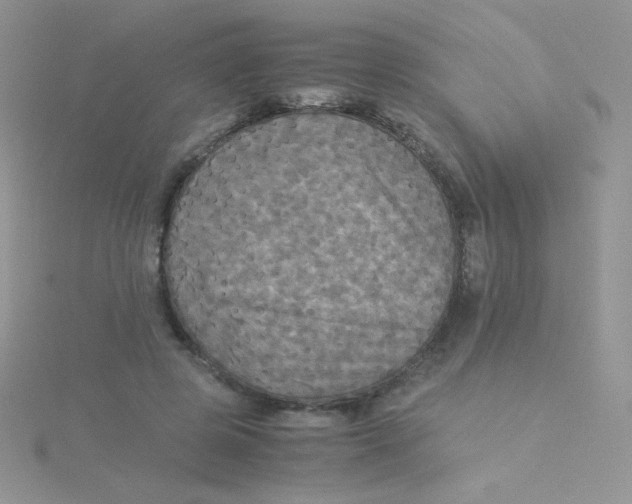 X0000115310545200911231331