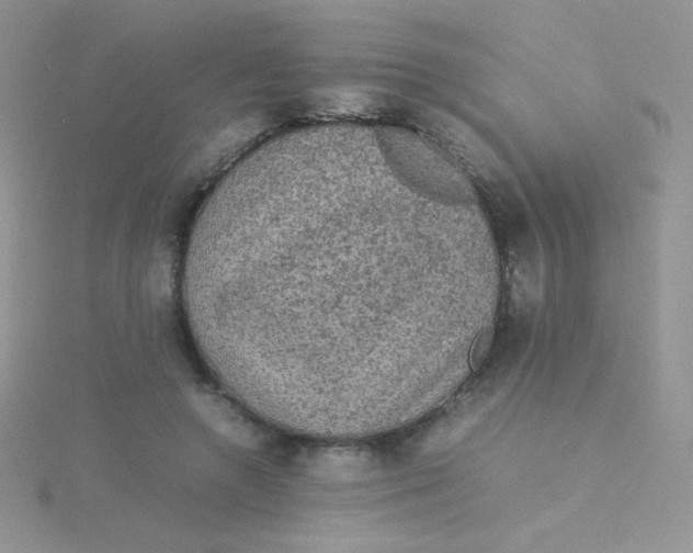 X0000115310546200911231331