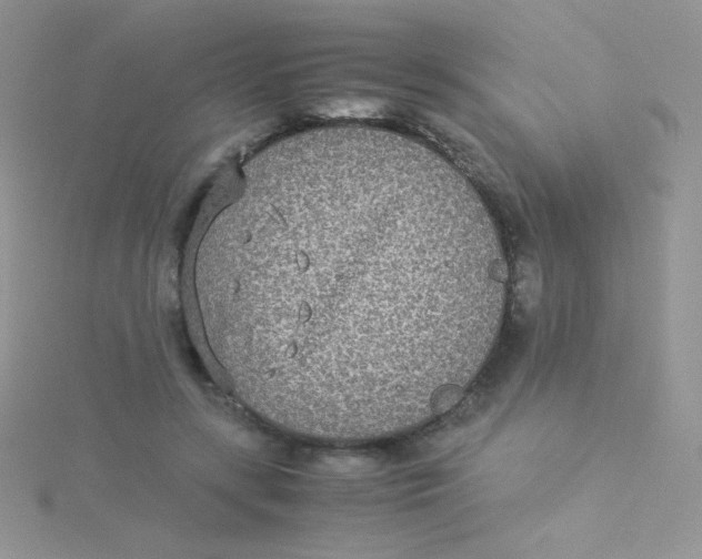 X0000115310547200911231331