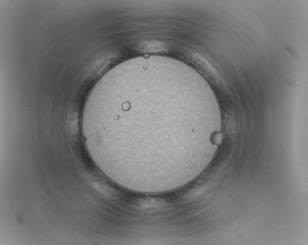 X0000115310549200911231331