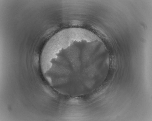 X0000115310550200911231332