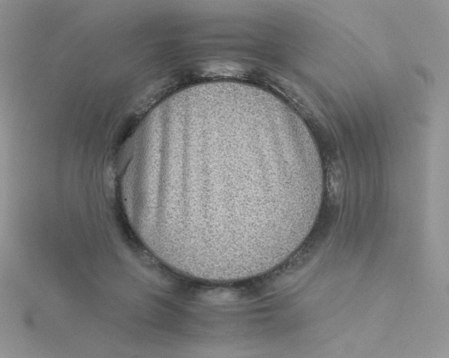 X0000115310551200911231332