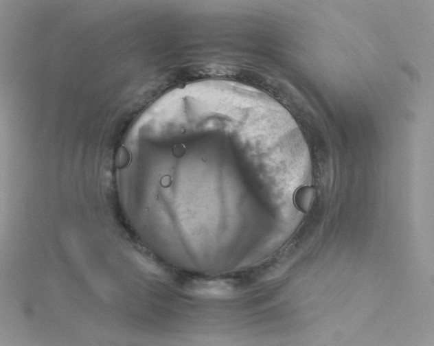 X0000115310553200911231332