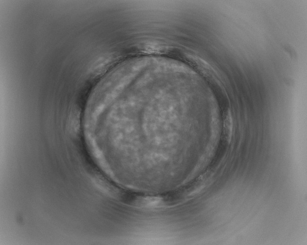 X0000115310554200911231332