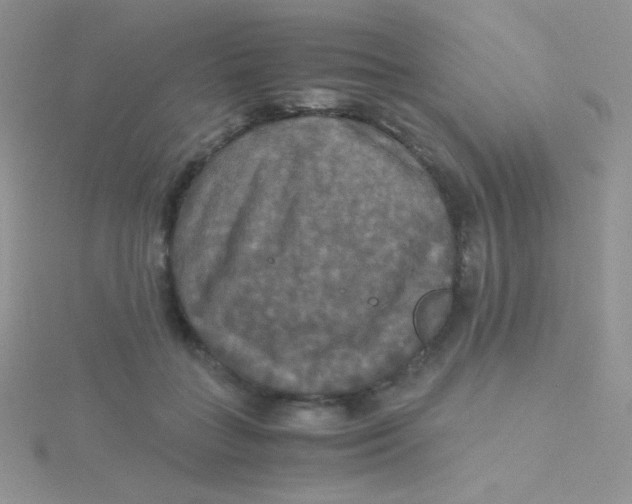 X0000115310555200911231332