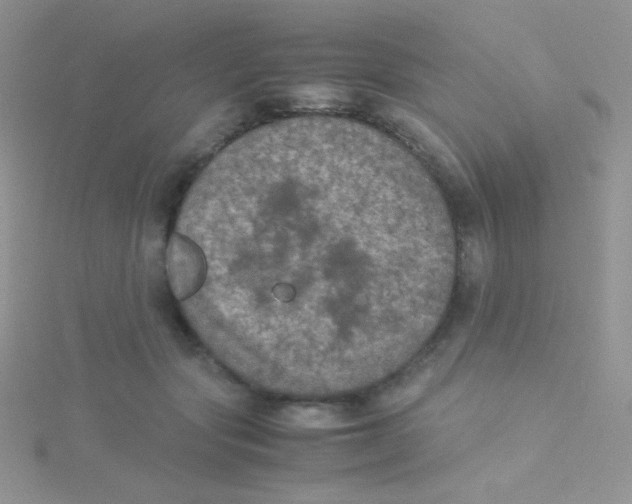 X0000115310557200911231332