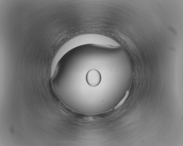 X0000115310558200911231332