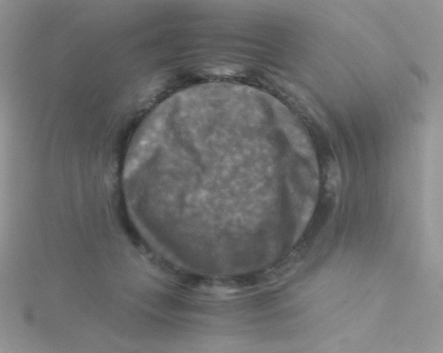 X0000115310559200911231332