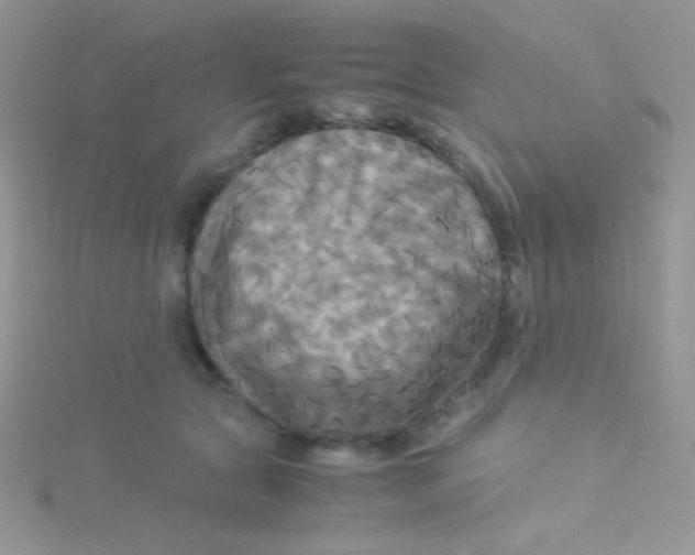 X0000115310561200911231332