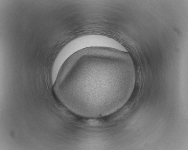 X0000115310562200911231332