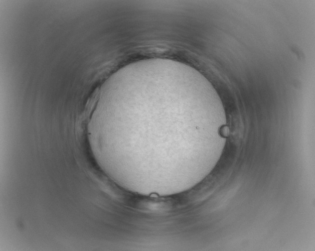 X0000115310563200911231332