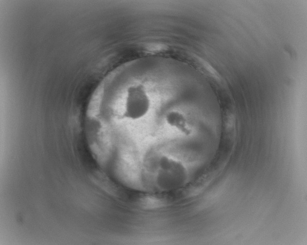 X0000115310565200911231332