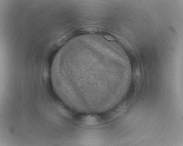 X0000115310566200911231332