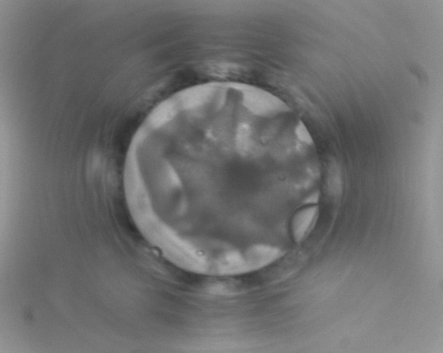 X0000115310569200911231332