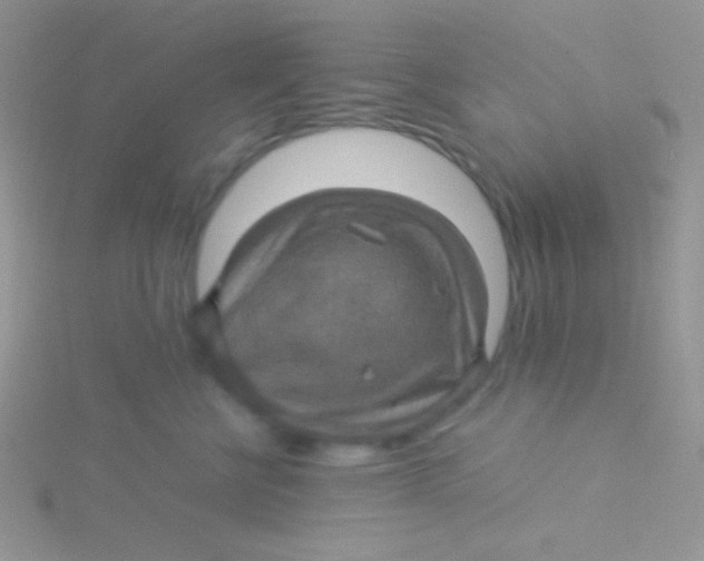 X0000115310570200911231332