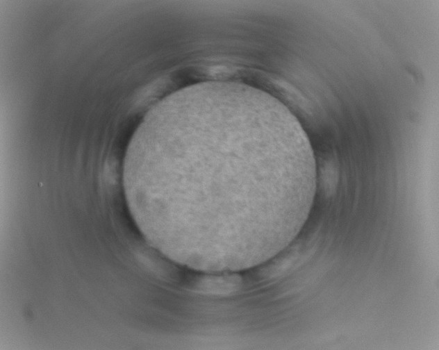 X0000115310571200911231332