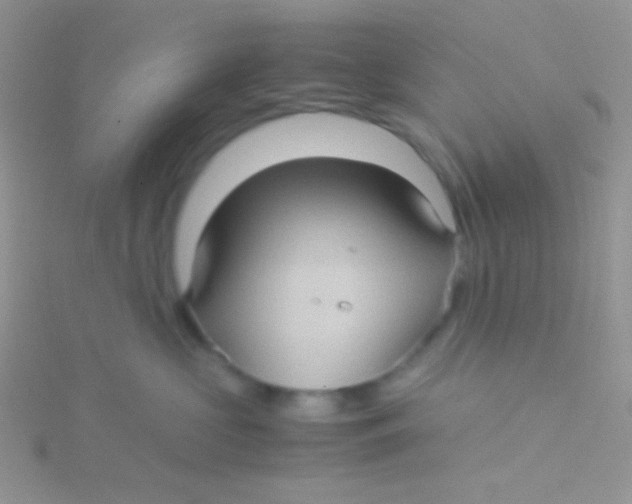 X0000115310573200911231332