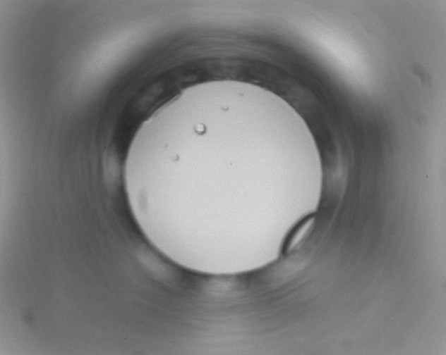 X0000115310574200911231332