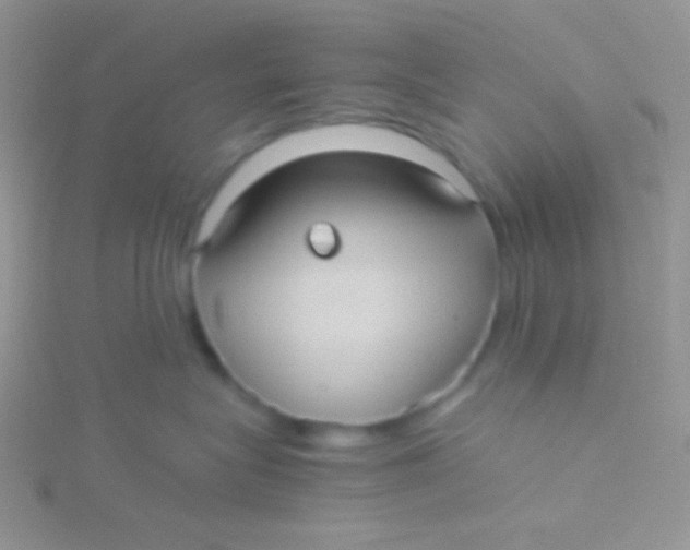 X0000115310575200911231332