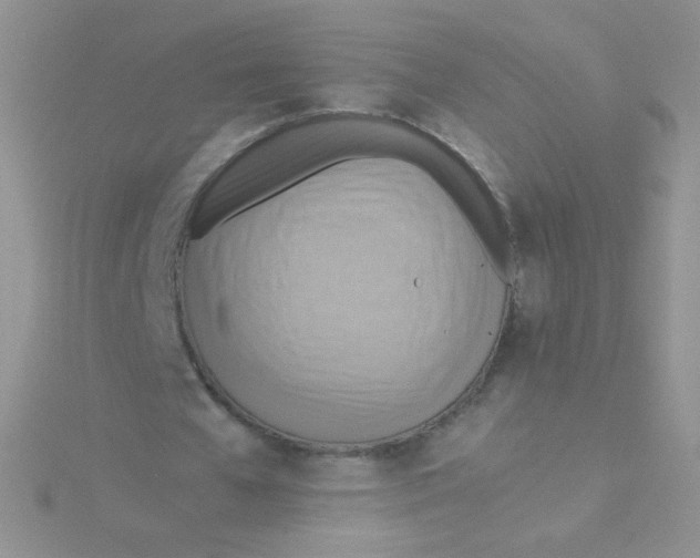 X0000115310577200911231331