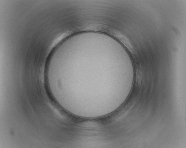 X0000115310578200911231331