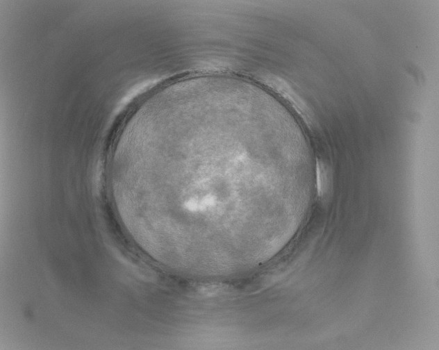 X0000115310579200911231331