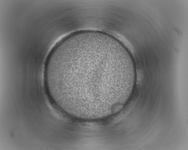 X0000115310580200911231331