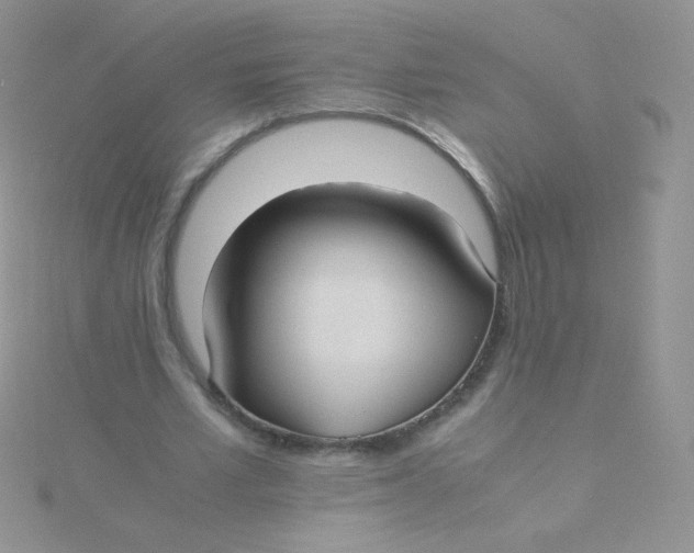 X0000115310581200911231331