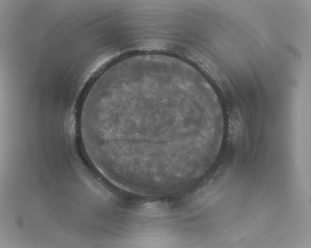 X0000115310584200911231331