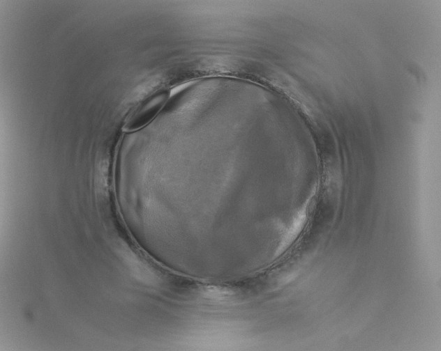 X0000115310585200911231331