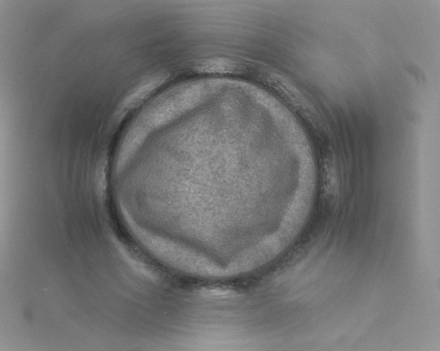 X0000115310586200911231331