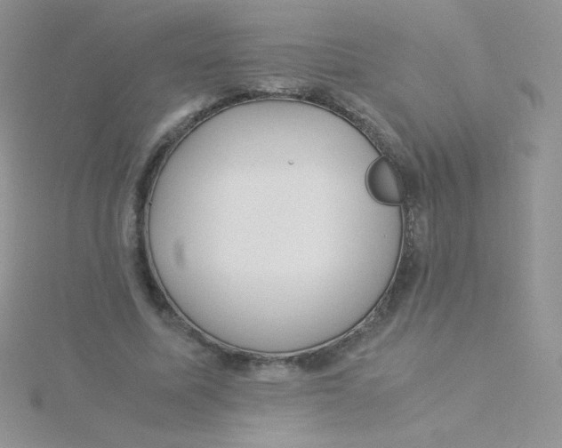 X0000115310587200911231331