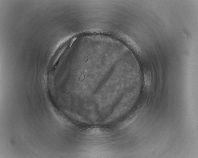 X0000115310588200911231331