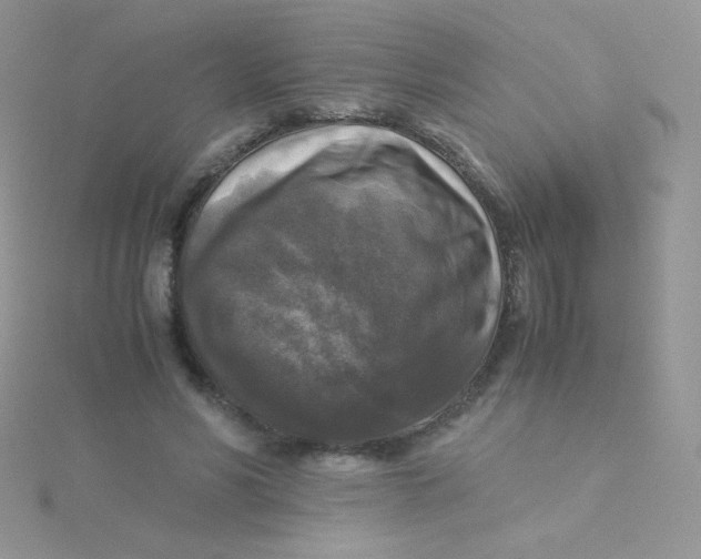 X0000115310590200911231331