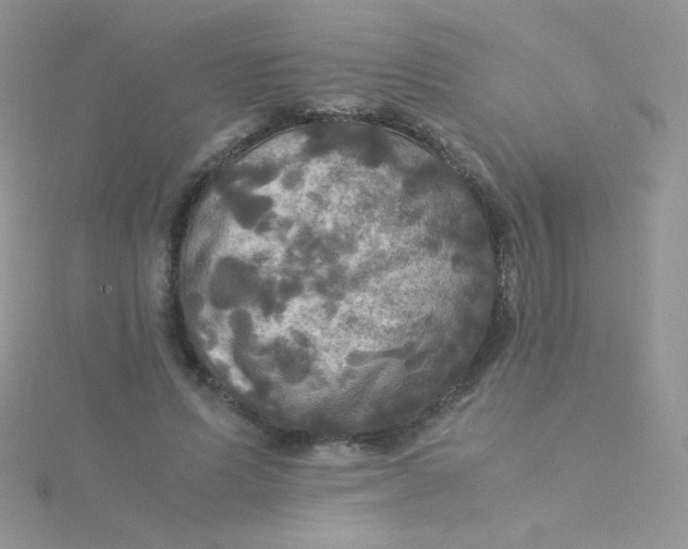 X0000115310591200911231331