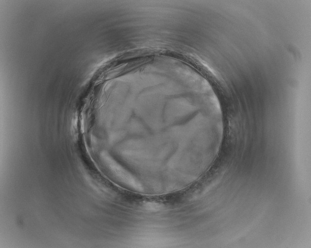 X0000115310592200911231331