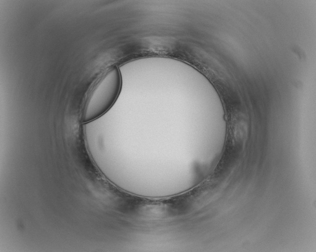 X0000115310595200911231331