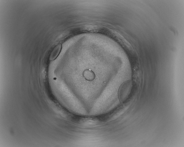 X0000115310597200911231331