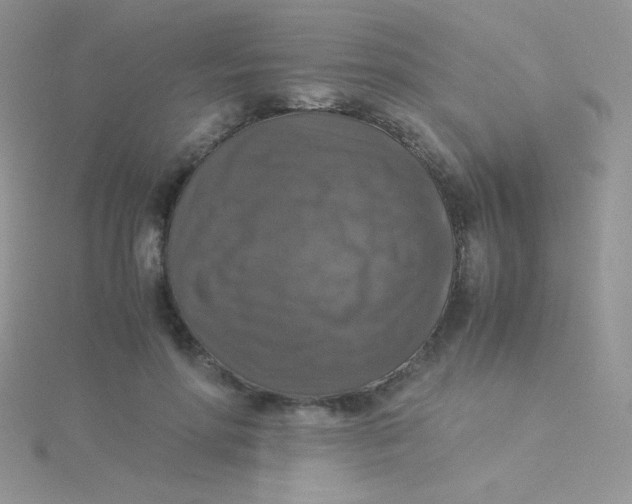 X0000115310598200911231331