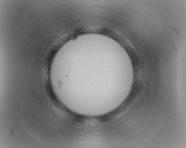 X0000115310599200911231331