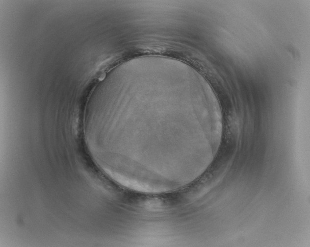 X0000115310600200911231331