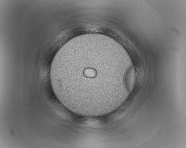 X0000115310601200911231331