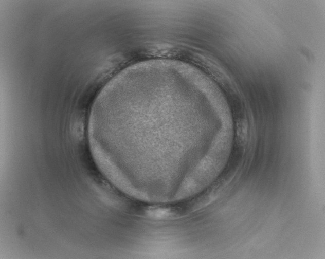 X0000115310602200911231331