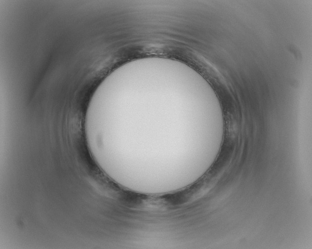 X0000115310603200911231331