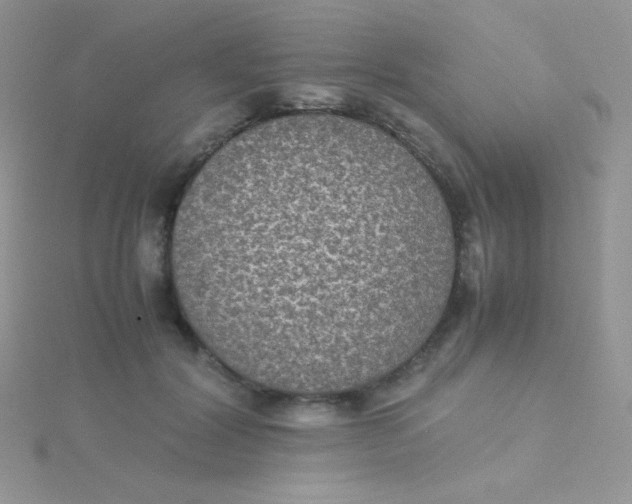 X0000115310604200911231331