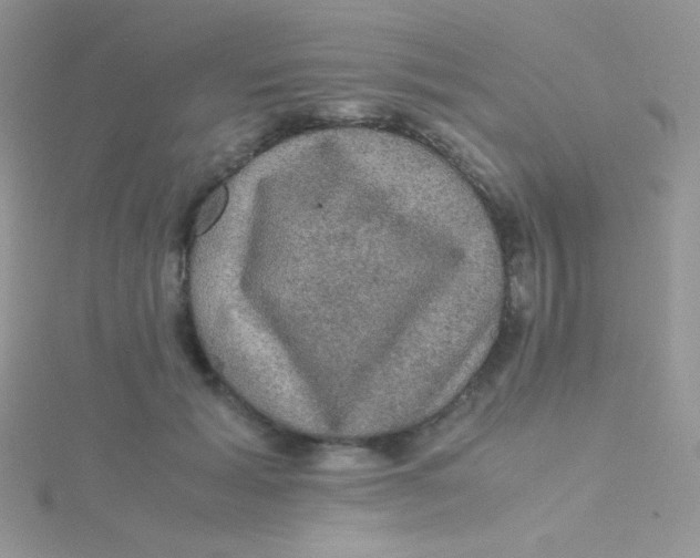 X0000115310605200911231331