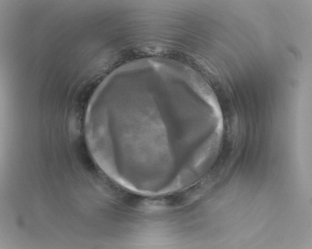 X0000115310606200911231331