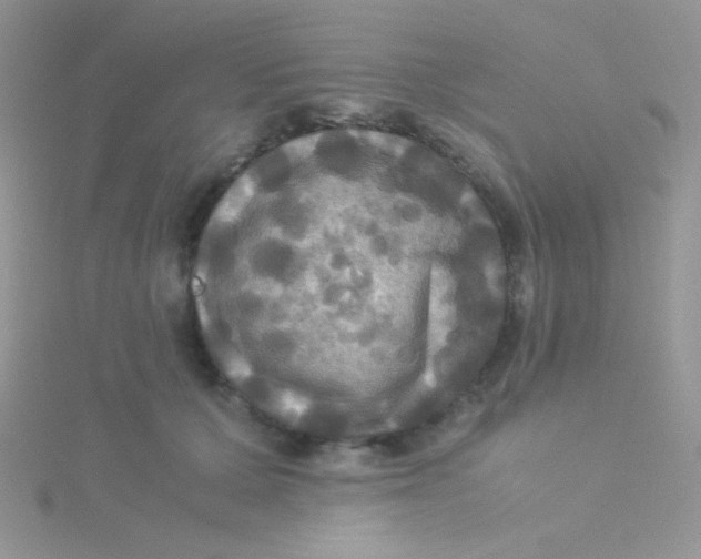 X0000115310607200911231331